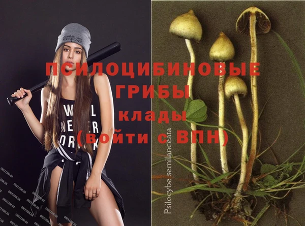 прущие крисы Балабаново