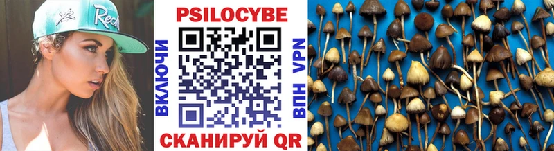 Псилоцибиновые грибы прущие грибы  где можно купить наркотик  Заречный 